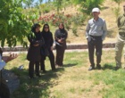 جنگل؛ سرمایه‌ای فراتر از چوب | برگزاری رویداد «روز انتقال یافته‌های تحقیقاتی» با محوریت ارزش‌گذاری خدمات بوم‌سازگان