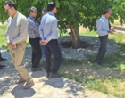 جنگل؛ سرمایه‌ای فراتر از چوب | برگزاری رویداد «روز انتقال یافته‌های تحقیقاتی» با محوریت ارزش‌گذاری خدمات بوم‌سازگان