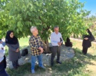 جنگل؛ سرمایه‌ای فراتر از چوب | برگزاری رویداد «روز انتقال یافته‌های تحقیقاتی» با محوریت ارزش‌گذاری خدمات بوم‌سازگان