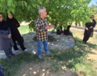 جنگل؛ سرمایه‌ای فراتر از چوب | برگزاری رویداد «روز انتقال یافته‌های تحقیقاتی» با محوریت ارزش‌گذاری خدمات بوم‌سازگان
