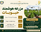 برگزاری دو وبینار تخصصی در شبکه آموزش کشاورزی کردستان (شاک)