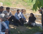 جنگل؛ سرمایه‌ای فراتر از چوب | برگزاری رویداد «روز انتقال یافته‌های تحقیقاتی» با محوریت ارزش‌گذاری خدمات بوم‌سازگان