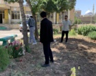 با تکمیل عملیات بهسازی اراضی؛ هنرستان رویش سقز برای کشت زعفران و گیاهان دارویی آماده شد