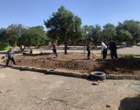 با تکمیل عملیات بهسازی اراضی؛ هنرستان رویش سقز برای کشت زعفران و گیاهان دارویی آماده شد