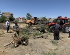 با تکمیل عملیات بهسازی اراضی؛ هنرستان رویش سقز برای کشت زعفران و گیاهان دارویی آماده شد