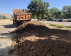 با تکمیل عملیات بهسازی اراضی؛ هنرستان رویش سقز برای کشت زعفران و گیاهان دارویی آماده شد
