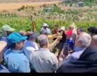 هرس علمی، محصول باکیفیت؛ کارگاه آموزشی هرس سبز انگور در حسن‌آباد سنندج برگزار شد