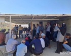 هرس علمی، محصول باکیفیت؛ کارگاه آموزشی هرس سبز انگور در حسن‌آباد سنندج برگزار شد