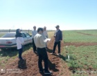 پایش میدانی طرح‌های پژوهشی؛ گامی برای ارتقای اثربخشی تحقیقات کشاورزی در کردستان