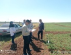 پایش میدانی طرح‌های پژوهشی؛ گامی برای ارتقای اثربخشی تحقیقات کشاورزی در کردستان