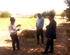 حضور مقامات سازمان منابع طبیعی و آبخیزداری کشور در مرکز تحقیقات کردستان؛ از صیانت گونه‌های نادر گیاهی تا توسعه فناوری تولید بذر مراتع