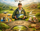 دوره تخصصی دانش بومی با رویکردی نوآورانه، تجربه‌های میدانی مروجان و کشاورزان را به محور اصلی آموزش و گفت‌وگوی تخصصی تبدیل کرد.