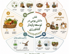 دوره تخصصی دانش بومی با رویکردی نوآورانه، تجربه‌های میدانی مروجان و کشاورزان را به محور اصلی آموزش و گفت‌وگوی تخصصی تبدیل کرد.