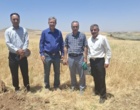 ظرفیت‌های پژوهشی کردستان در کانون توجه مؤسسه تحقیقات کشاورزی دیم کشور؛ بازدید تخصصی از پروژه‌های تحقیقاتی و هسته‌های بذری ایستگاه قاملو و سارال کردستان