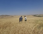 ظرفیت‌های پژوهشی کردستان در کانون توجه مؤسسه تحقیقات کشاورزی دیم کشور؛ بازدید تخصصی از پروژه‌های تحقیقاتی و هسته‌های بذری ایستگاه قاملو و سارال کردستان