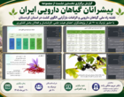 از «نقشه راه ملی» تا «الگوی کشت آینده»؛ نخستین نشست پیشرانان گیاهان دارویی ایران در کردستان برگزار شد