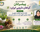 از «نقشه راه ملی» تا «الگوی کشت آینده»؛ نخستین نشست پیشرانان گیاهان دارویی ایران در کردستان برگزار شد