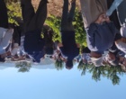 برگزاری کارگاه آموزشی هرس سبز انگور با مشارکت گسترده باغداران در روستای بهرام‌آباد سروآباد