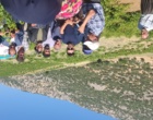 برگزاری کارگاه آموزشی هرس سبز انگور با مشارکت گسترده باغداران در روستای بهرام‌آباد سروآباد