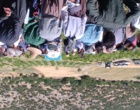 برگزاری کارگاه آموزشی هرس سبز انگور با مشارکت گسترده باغداران در روستای بهرام‌آباد سروآباد