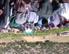 برگزاری کارگاه آموزشی هرس سبز انگور با مشارکت گسترده باغداران در روستای بهرام‌آباد سروآباد