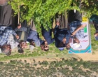 برگزاری کارگاه آموزشی هرس سبز انگور با مشارکت گسترده باغداران در روستای بهرام‌آباد سروآباد