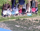 برگزاری کارگاه آموزشی هرس سبز انگور با مشارکت گسترده باغداران در روستای بهرام‌آباد سروآباد