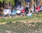 برگزاری کارگاه آموزشی هرس سبز انگور با مشارکت گسترده باغداران در روستای بهرام‌آباد سروآباد