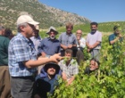 برگزاری کارگاه آموزشی هرس سبز انگور با مشارکت گسترده باغداران در روستای بهرام‌آباد سروآباد