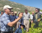 برگزاری کارگاه آموزشی هرس سبز انگور با مشارکت گسترده باغداران در روستای بهرام‌آباد سروآباد