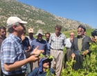 برگزاری کارگاه آموزشی هرس سبز انگور با مشارکت گسترده باغداران در روستای بهرام‌آباد سروآباد