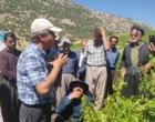 برگزاری کارگاه آموزشی هرس سبز انگور با مشارکت گسترده باغداران در روستای بهرام‌آباد سروآباد