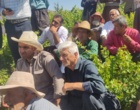 برگزاری کارگاه آموزشی هرس سبز انگور با مشارکت گسترده باغداران در روستای بهرام‌آباد سروآباد