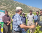 برگزاری کارگاه آموزشی هرس سبز انگور با مشارکت گسترده باغداران در روستای بهرام‌آباد سروآباد