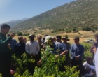 برگزاری کارگاه آموزشی هرس سبز انگور با مشارکت گسترده باغداران در روستای بهرام‌آباد سروآباد