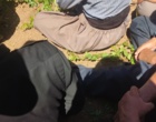 برگزاری کارگاه آموزشی هرس سبز انگور با مشارکت گسترده باغداران در روستای بهرام‌آباد سروآباد