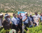 برگزاری کارگاه آموزشی هرس سبز انگور با مشارکت گسترده باغداران در روستای بهرام‌آباد سروآباد