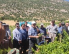 برگزاری کارگاه آموزشی هرس سبز انگور با مشارکت گسترده باغداران در روستای بهرام‌آباد سروآباد