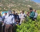 برگزاری کارگاه آموزشی هرس سبز انگور با مشارکت گسترده باغداران در روستای بهرام‌آباد سروآباد