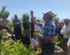 برگزاری کارگاه آموزشی هرس سبز انگور با مشارکت گسترده باغداران در روستای بهرام‌آباد سروآباد