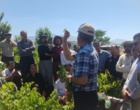 برگزاری کارگاه آموزشی هرس سبز انگور با مشارکت گسترده باغداران در روستای بهرام‌آباد سروآباد