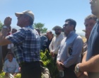 برگزاری کارگاه آموزشی هرس سبز انگور با مشارکت گسترده باغداران در روستای بهرام‌آباد سروآباد