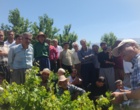 برگزاری کارگاه آموزشی هرس سبز انگور با مشارکت گسترده باغداران در روستای بهرام‌آباد سروآباد