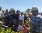 برگزاری کارگاه آموزشی هرس سبز انگور با مشارکت گسترده باغداران در روستای بهرام‌آباد سروآباد