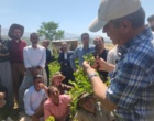 برگزاری کارگاه آموزشی هرس سبز انگور با مشارکت گسترده باغداران در روستای بهرام‌آباد سروآباد