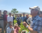 برگزاری کارگاه آموزشی هرس سبز انگور با مشارکت گسترده باغداران در روستای بهرام‌آباد سروآباد