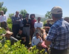برگزاری کارگاه آموزشی هرس سبز انگور با مشارکت گسترده باغداران در روستای بهرام‌آباد سروآباد