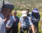 برگزاری کارگاه آموزشی هرس سبز انگور با مشارکت گسترده باغداران در روستای بهرام‌آباد سروآباد