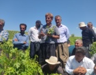 برگزاری کارگاه آموزشی هرس سبز انگور با مشارکت گسترده باغداران در روستای بهرام‌آباد سروآباد