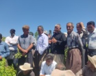 برگزاری کارگاه آموزشی هرس سبز انگور با مشارکت گسترده باغداران در روستای بهرام‌آباد سروآباد